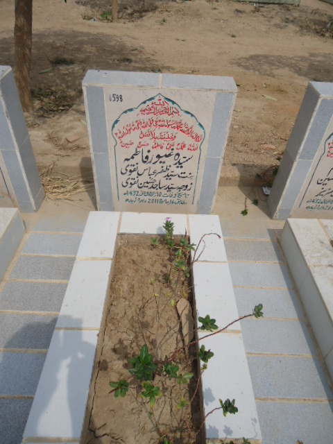 6598 – Syeda Gayour Fatima