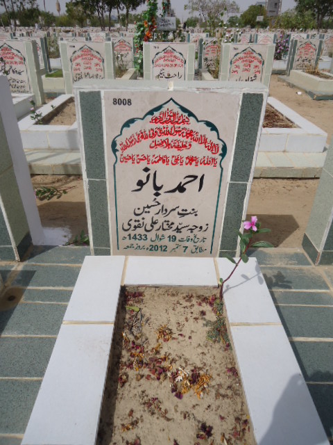 8008 – Ahmed Bano