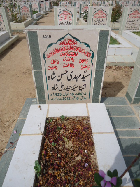 8010 – Syed Mehdi Hasan Shah