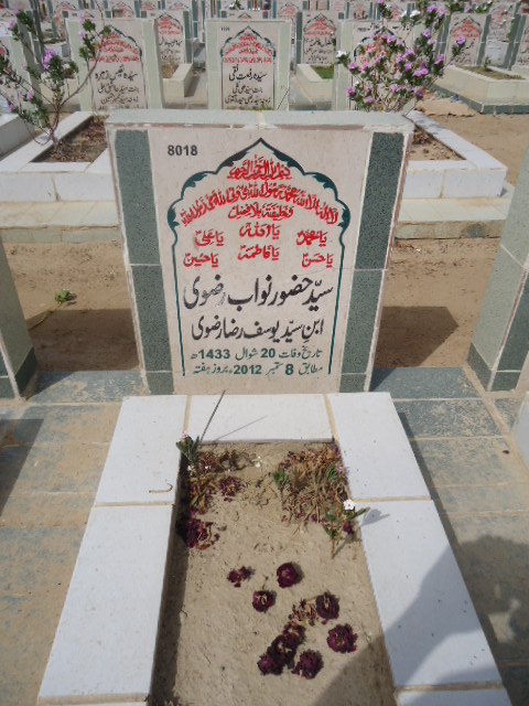 8018 – Syed Hazoor Nawab Rizvi