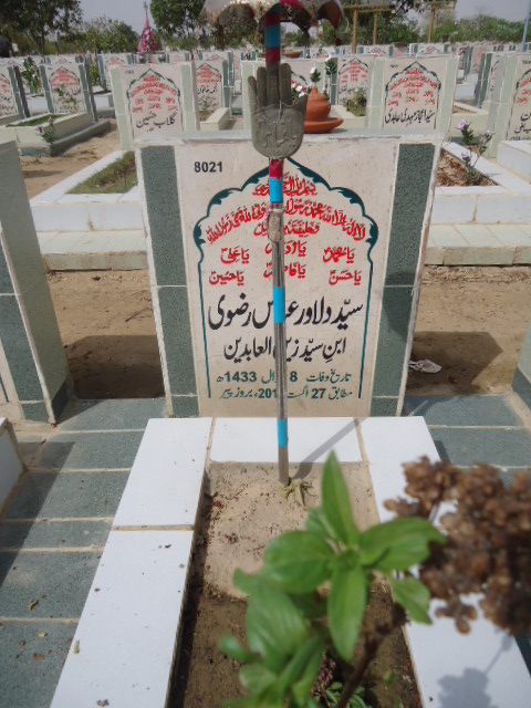 8021 – Syed Dilawar Abbas Rizvi