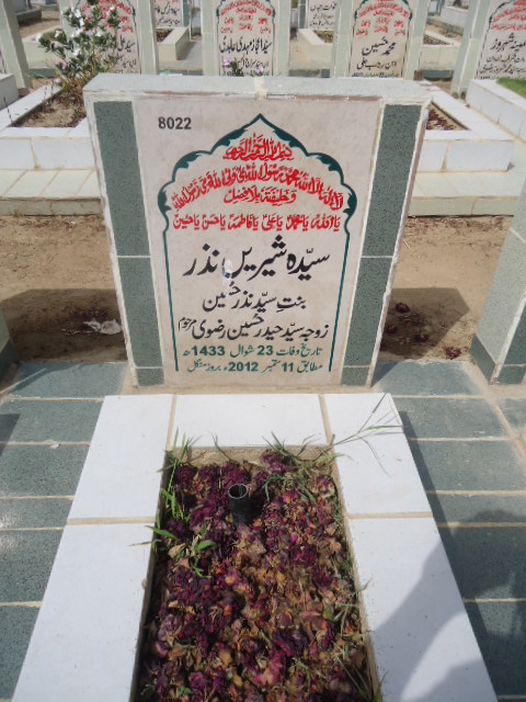 8022 – Syeda Shiree Nazar