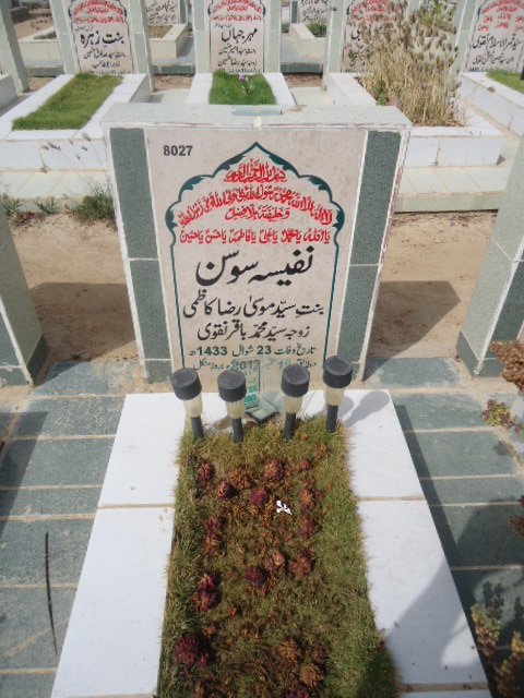 8027 – Nafeesa Sosan