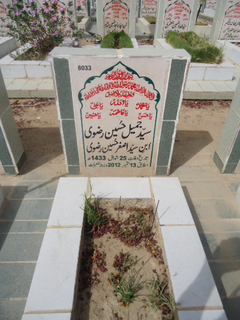 8033 – Syed Jameel Hussain Rizvi