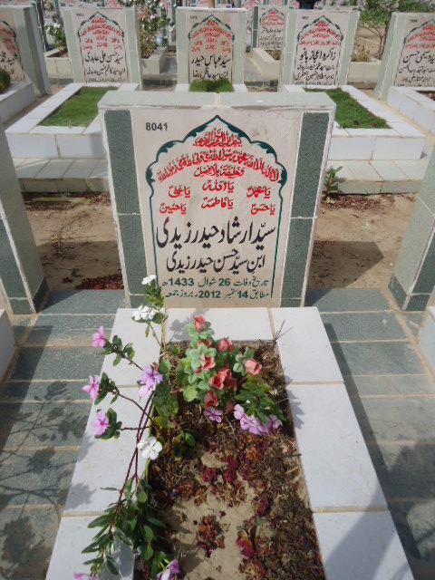 8041 – Syed Irshad Haider Zaidi