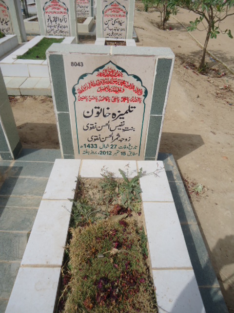 8043 – Talmeeza Khatoon