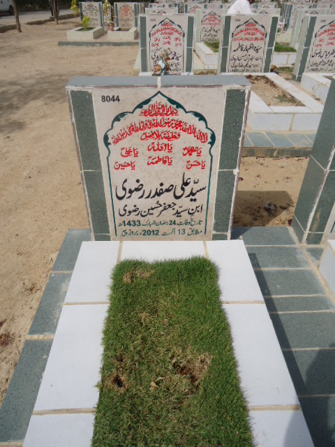 8044 – Syed Ali Safdar Rizvi