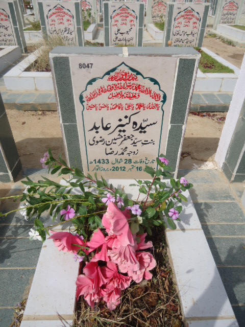 8047 – Syeda Kaneez Abid