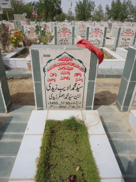 8050 – Syed Mohd Adeeb Zaidi