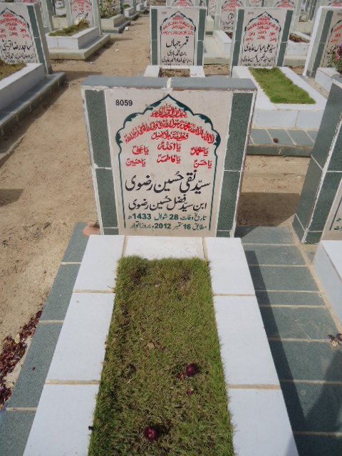 8059 – Syed Naqi Hussain Rizvi