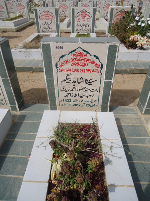8060 – Syeda Shahid Begum