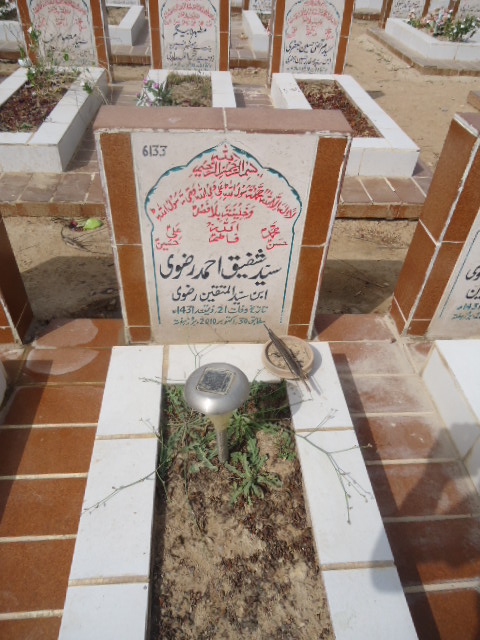 6133 – Syed Shafiqe Ahmed Rizvi