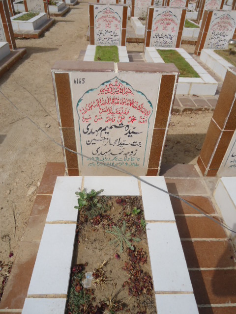 6165 – Syeda Shamim Mehdi