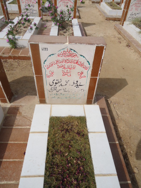 6199 – Syed Wali Mohd Naqvi
