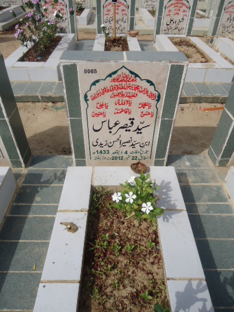 8065 – Syed Qaisar Abbas