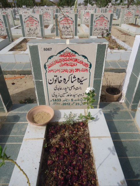 8067 – Syeda Shakira Khatoon