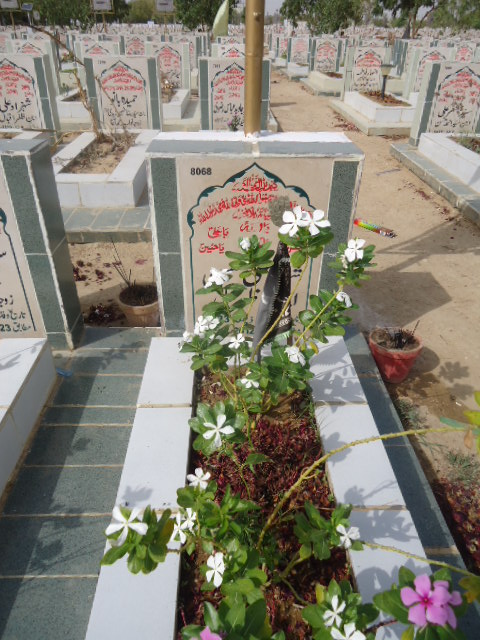 8068 – Shaheed Ali Hasan