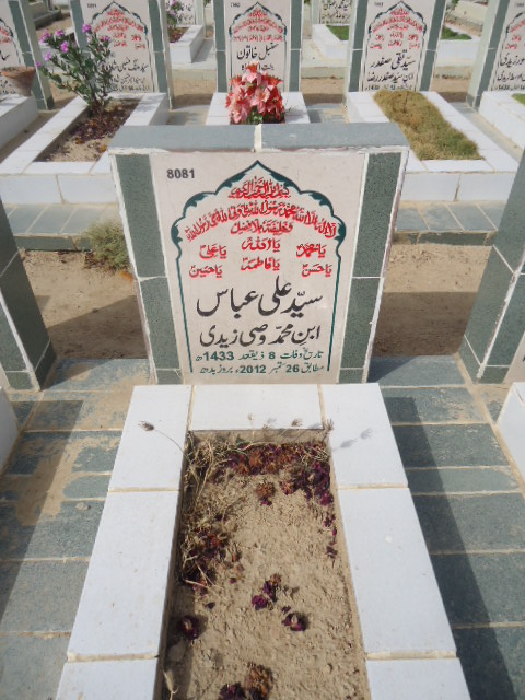 8081 – Syed Ali Abbas