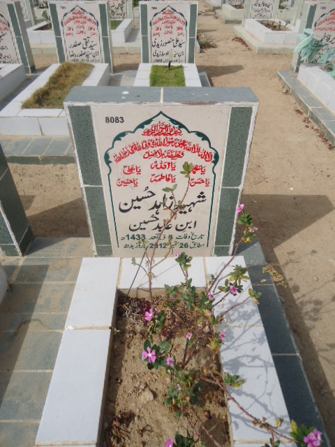 8083 – Shaheed Zahid Hussain