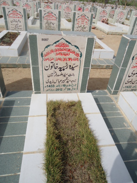 8087 – Syeda Rabia Khatoon
