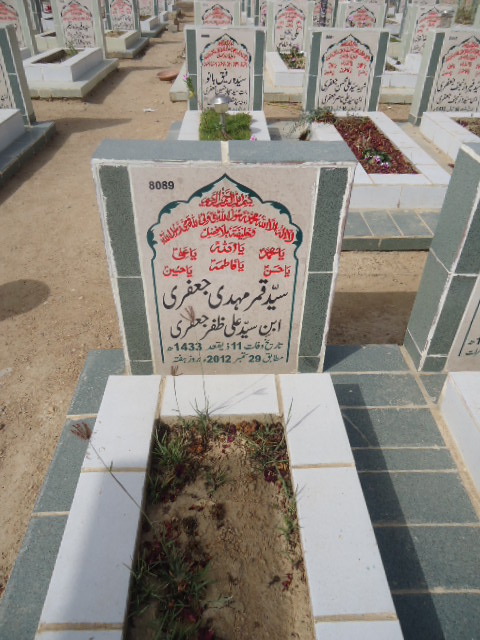 8089 – Syed Qamar Mehdi Jaffery