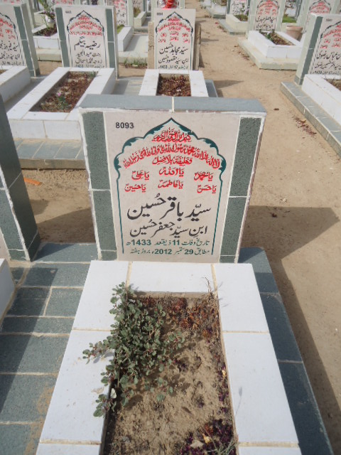 8093 – Syed Baqar Hussain