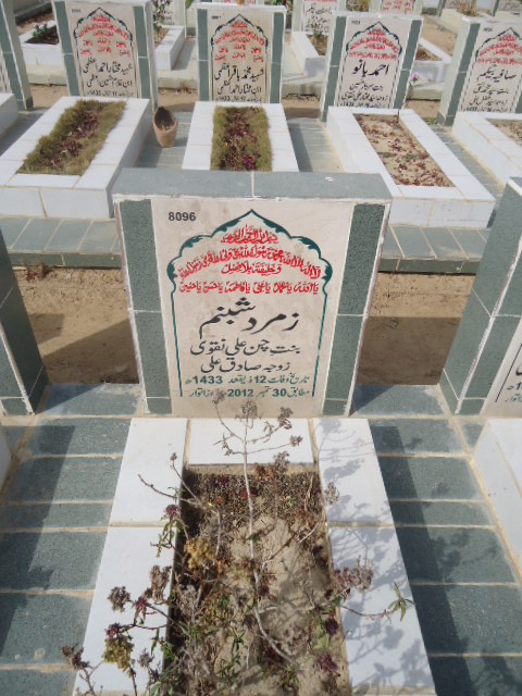 8096 – Zamarod Shabnam