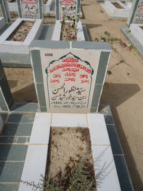 8098 – Syed Manzoor Ul Hasan
