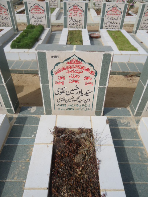 8101 – Syed Yawar Hussain Taqvi