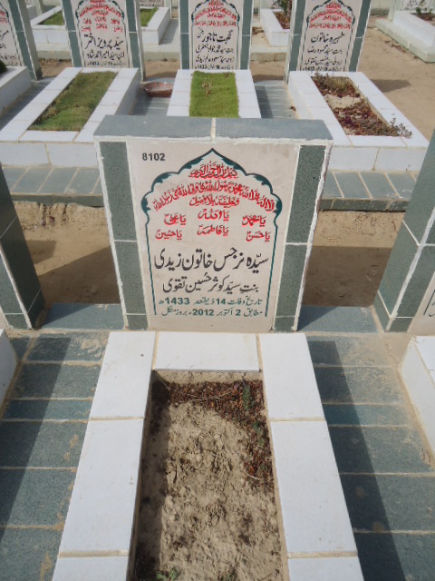 8102 – Syeda Narjis Khatoon Zaidi