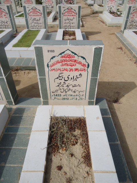 8103 – Shahzadi Begum