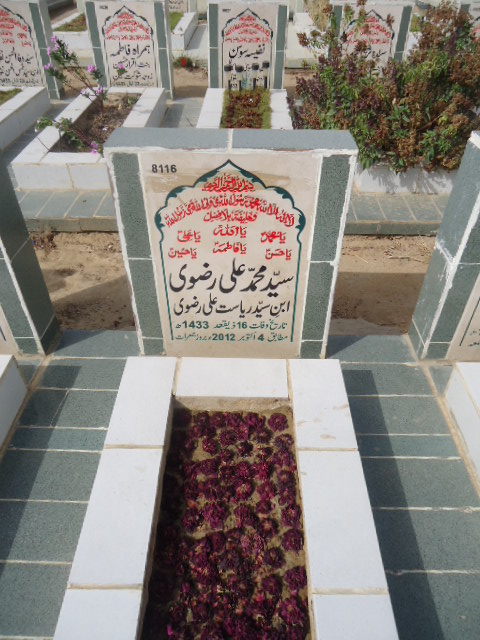 8116 – Syed Mohd Ali Rizvi
