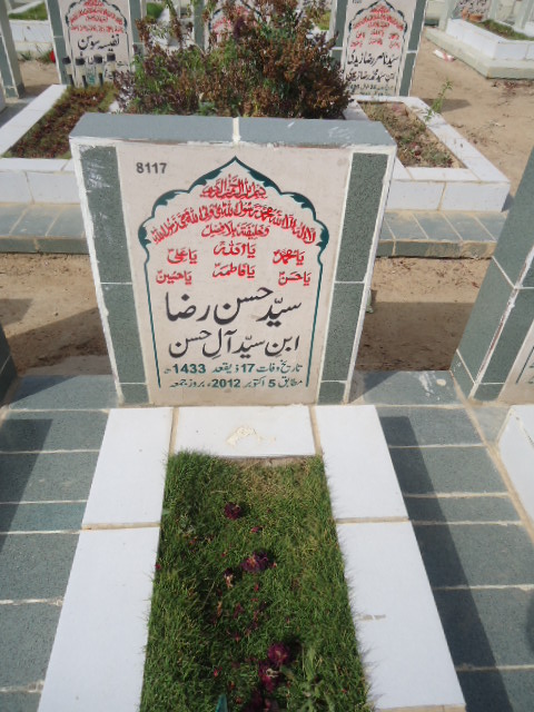 8117 – Syed Hasan Raza
