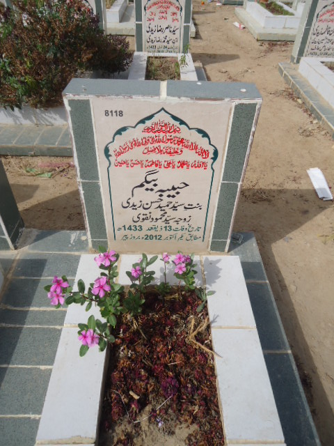 8118 – Habiba Begum