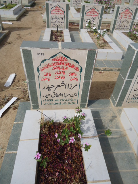 8119 – Mirza Ashar Haider