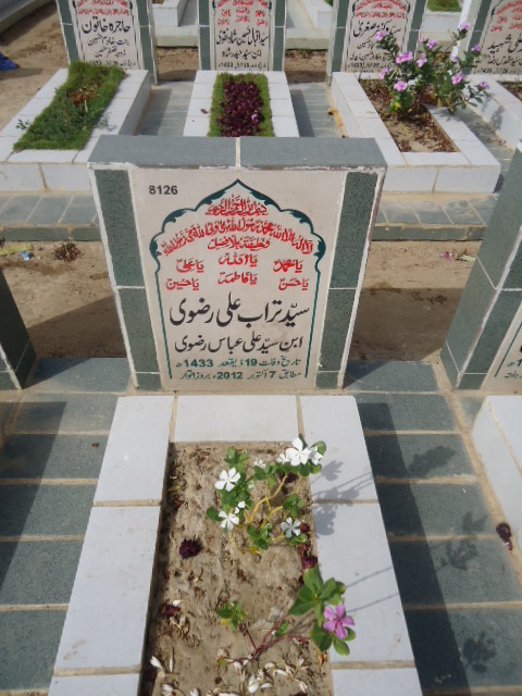 8126 – Syed Turab Ali Rizvi