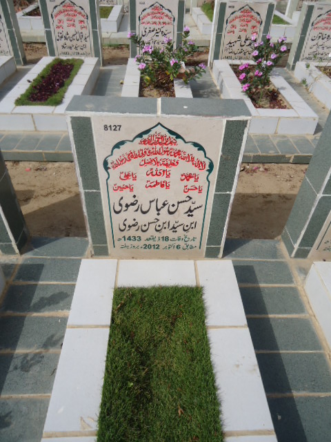 8127 – syed Hasan Abbas Rizvi