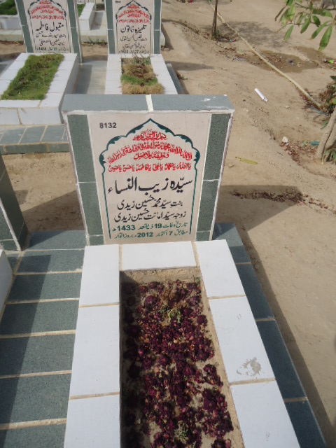 8132 – Syeda Zaib Un Nisa