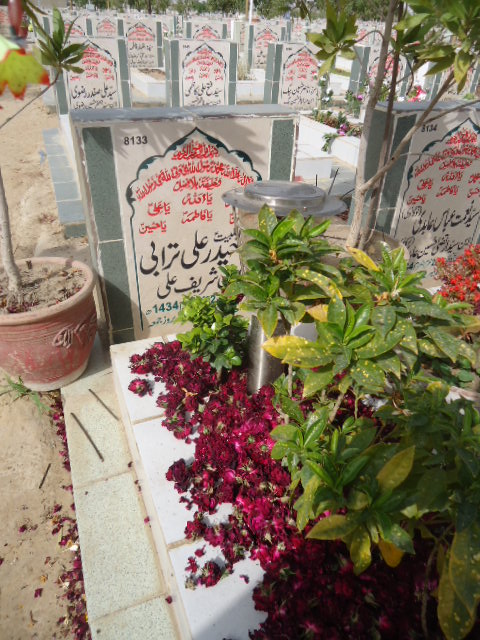 8133 – Haider Ali Turabi