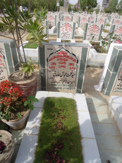 8134 – Syed Nemat Abbas Abidi