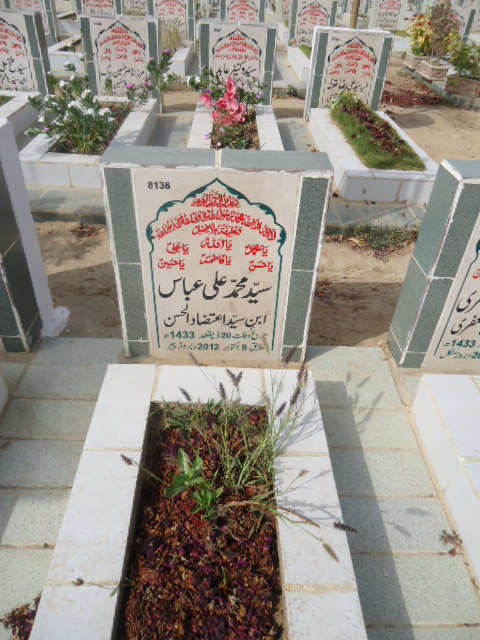 8136 – Syed Mohd Ali Abbas