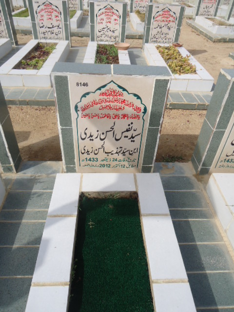 8146 – Syed Nafees Ul Hasan Zaidi