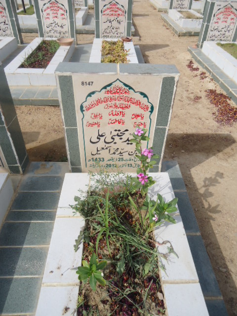 8147 – Syed Mujhtaba Ali