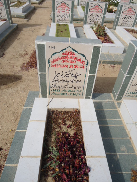 8148 – Syeda Kaneez Zehra