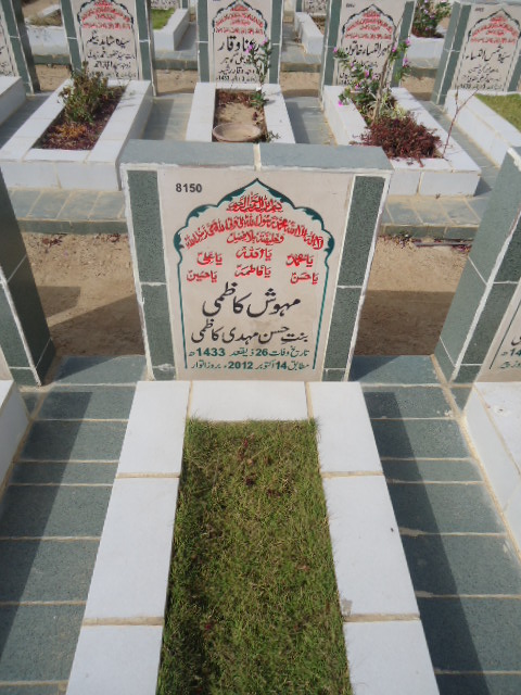 8150 – Mehwish Kazmi