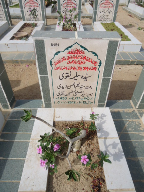8151 – Syeda Saleema Naqvi