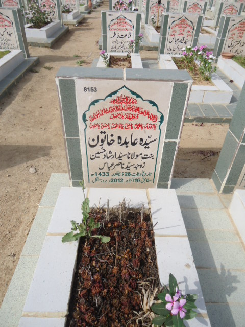 8153 – Syeda Abida Khatoon