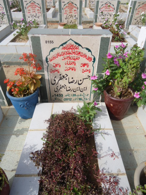8155 – Hasan Raza Jaffery