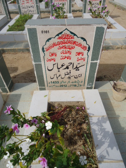 8161 – Syed Ahmed Abbas
