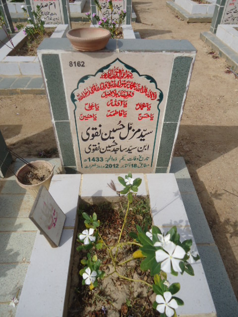 8162 – Syed Muzamil Hussain Naqvi